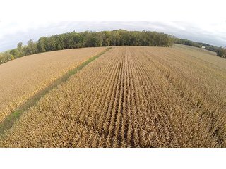 Property photo 17 - Southern Michigan Land Auction - 2 Auctions in 1 - 229+/- Acres and 66+/- Acres
